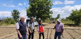 Beyşehir'de Üniversite Öğrencilerinden Geri Dönüşümle Kuş Yuvaları