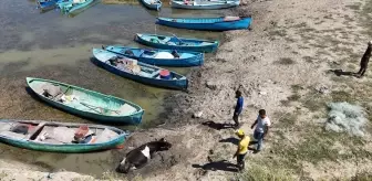 Beyşehir'de Çamura Saplanan İnek Traktörle Kurtarıldı