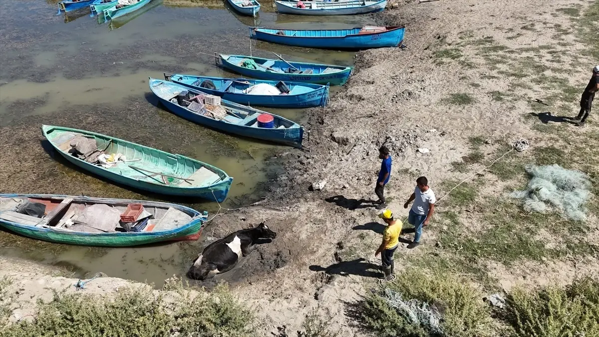 Beyşehir'de Çamura Saplanan İnek Traktörle Kurtarıldı