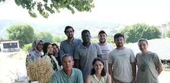 BŞEÜ, 4 Yeni Yulaf Çeşidi Geliştirdi