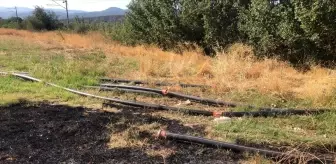 Bilecik'te Anız Yangını Kontrol Altına Alındı