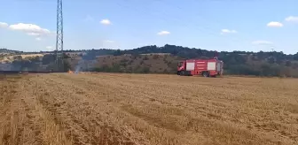 Bilecik'te Anız Yangını Kontrol Altına Alındı