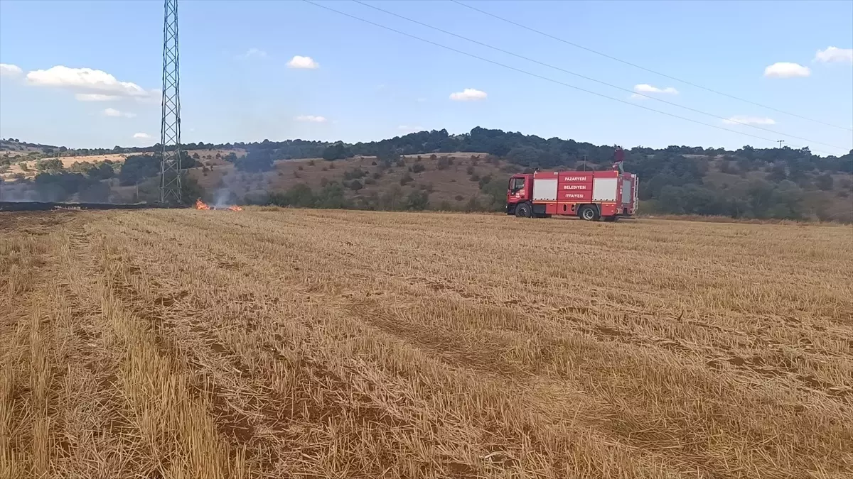 Bilecik'te Anız Yangını Kontrol Altına Alındı