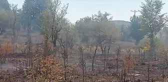 Bilecik'te Arazi Yangını Ormana Sıçramadan Söndürüldü