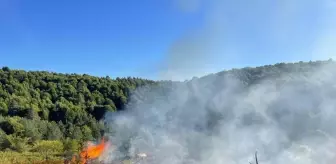 Bilecik'te Orman Yangını Kontrol Altına Alındı