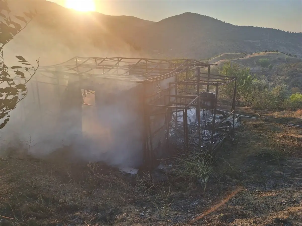 Bilecik'te Arazide Yangın: Ekipler Hızla Müdahale Etti