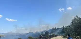 Bilecik'te Buğday Tarlasında Yangın Kontrol Altına Alındı
