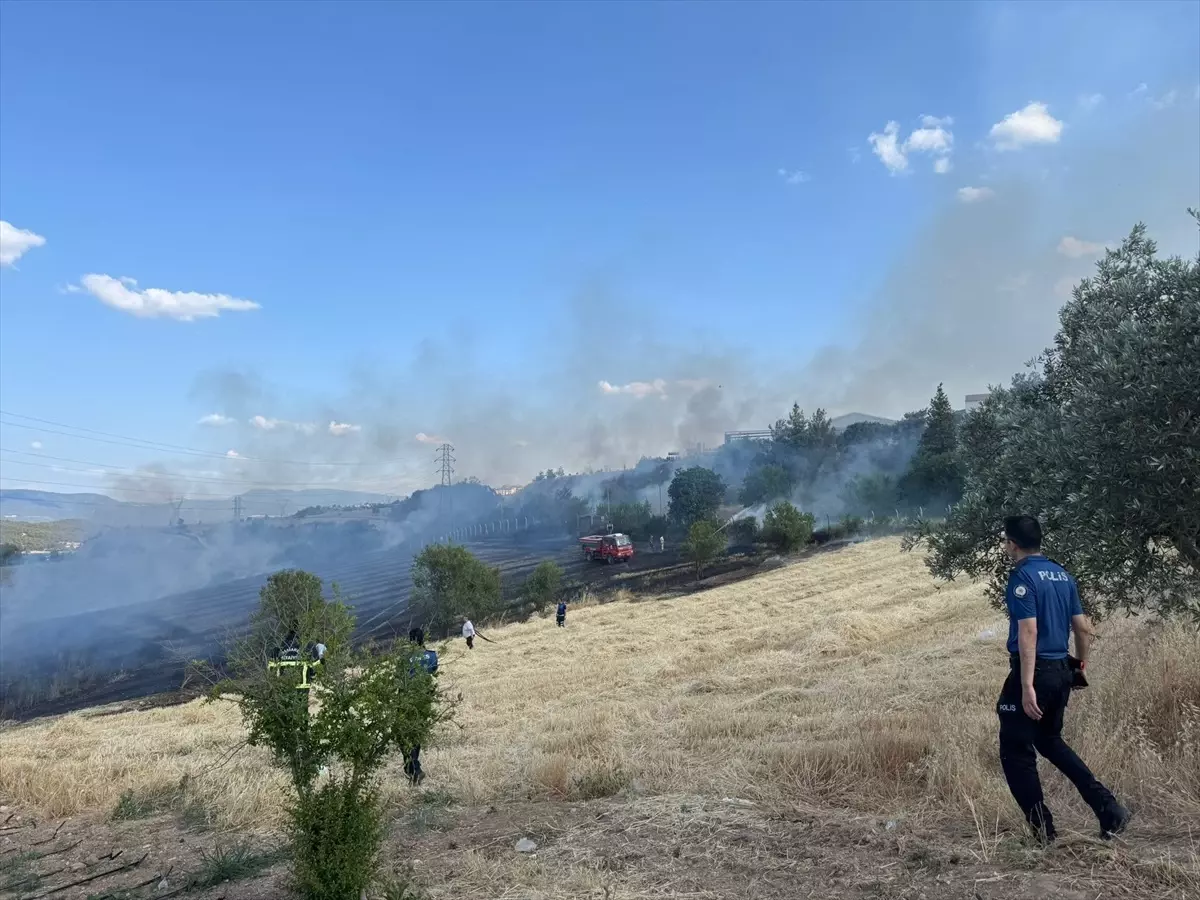 Bilecik'te Buğday Tarlasında Yangın Kontrol Altına Alındı