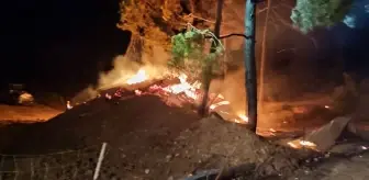 Bilecik'te Yangın: Çiftlikteki Ahırda 95 Hayvan Telef Oldu