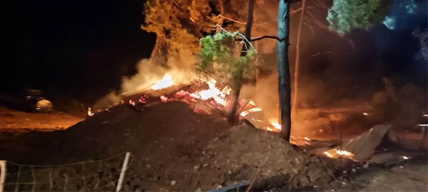 Bilecik'te Yangın: Çiftlikteki Ahırda 95 Hayvan Telef Oldu