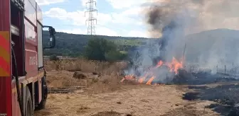 Bilecik'te Çiftlikte Yangın Çıktı, Hayvanlar Tahliye Edildi