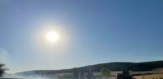 Bilecik'te Anız Yangını Kontrol Altına Alındı