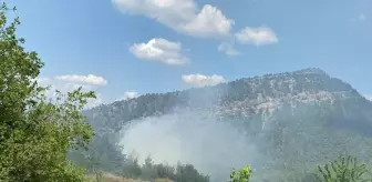 Bilecik'te Orman Yangını Kontrol Altına Alındı