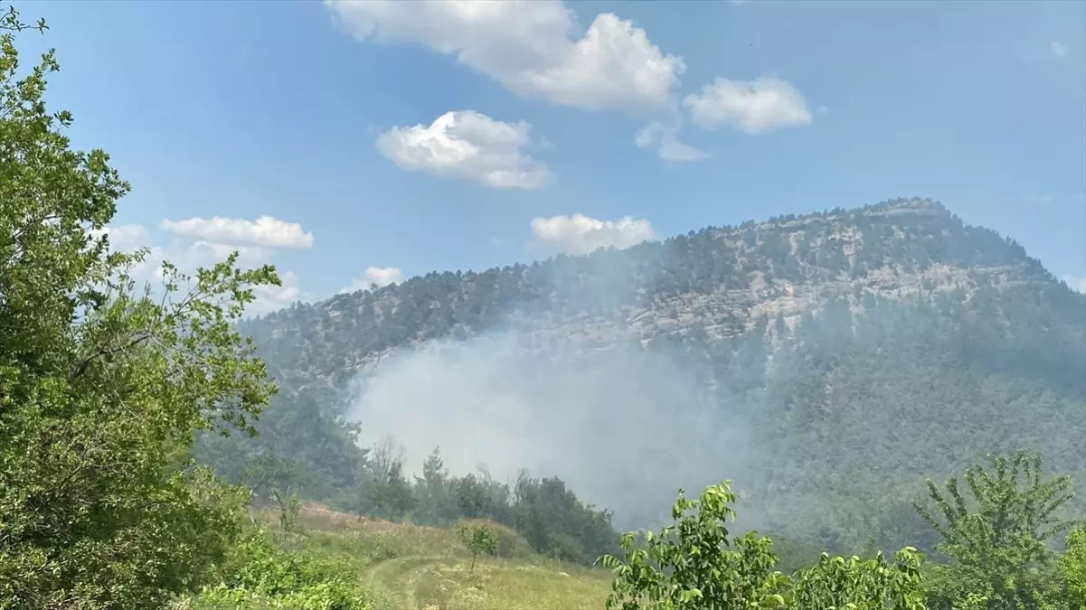 Bilecik'te Orman Yangını Kontrol Altına Alındı