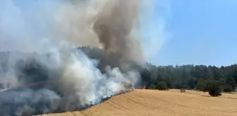 Bilecik'te Orman Yangınına Hızlı Müdahale
