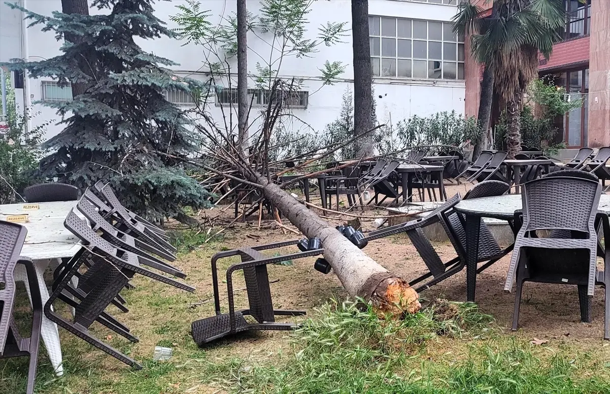 Bilecik'te Fırtına Ağacı Devrildi, Kafe Zarar Gördü