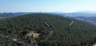 Bilecik'te Orman Yangınlarına Karşı Farkındalık Etkinliği Düzenlendi