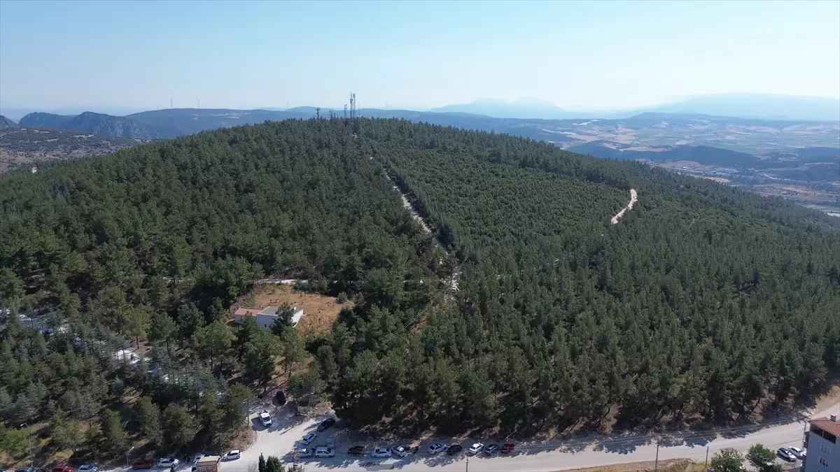 Bilecik'te Orman Yangınlarına Karşı Farkındalık Etkinliği Düzenlendi