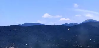 Bilecik'te Orman ve Tarla Yangınları Kontrol Altına Alındı