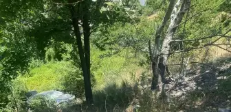 Bilecik'te Otomobil Şarampole Devrildi: 3 Yaralı