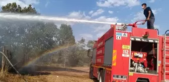 Bilecik'te Tarım Arazisinde Yangın Paniğe Yol Açtı
