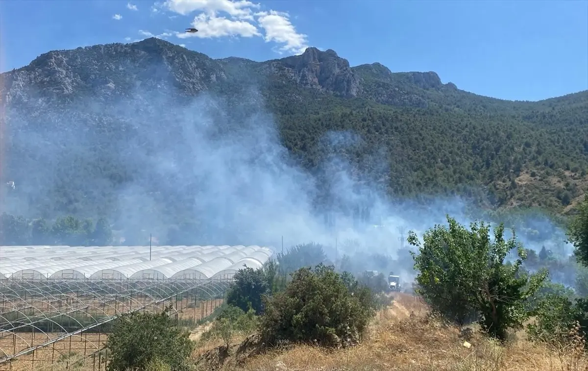 Bilecik'te Tarım Arazisinde Yangın Kontrol Altına Alındı