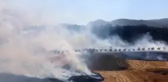 Bilecik'te Tarım Arazisinde Yangın Kontrol Altına Alındı