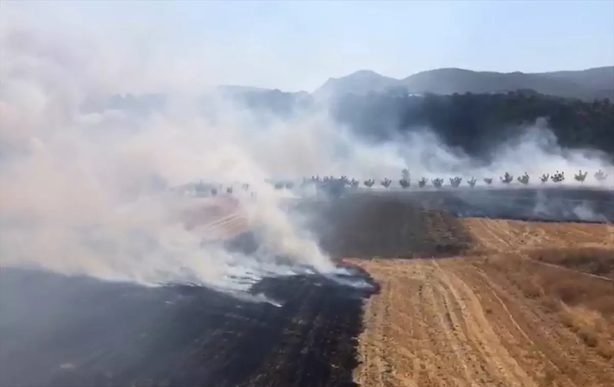 Bilecik'te Tarım Arazisinde Yangın Kontrol Altına Alındı