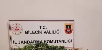 Bilecik'te Uyuşturucu Operasyonu: 2 Zanlı Gözaltında