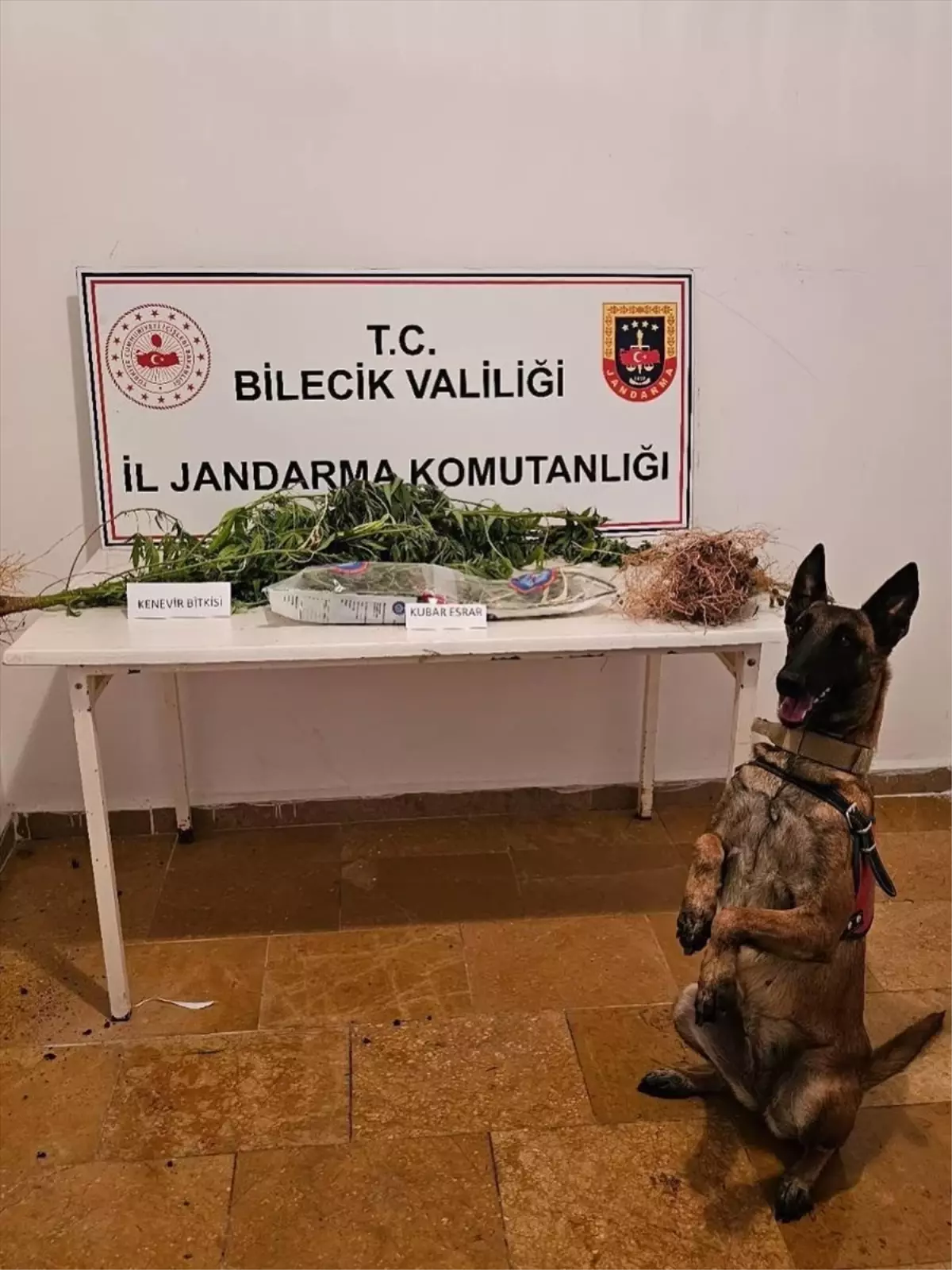 Bilecik'te Uyuşturucu Operasyonu: 2 Zanlı Gözaltında