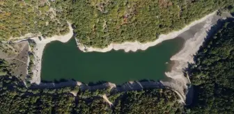 Bilecik'te Kuraklık Barajları Tehdit Ediyor: Çiftçiler Verim Kaybı Yaşıyor