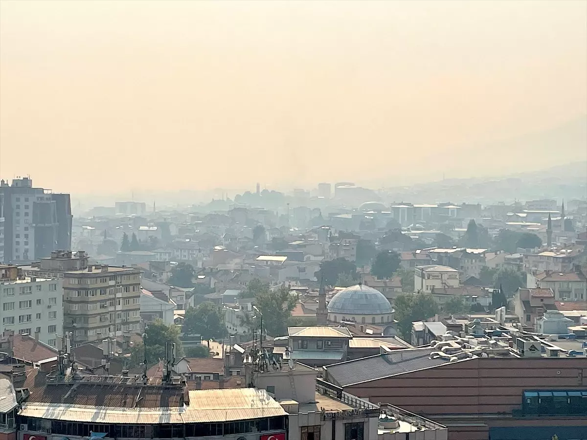 Bursa'yı Sardı: Geyve ve Osmaneli'ndeki Orman Yangınından Yükselen Dumanlar