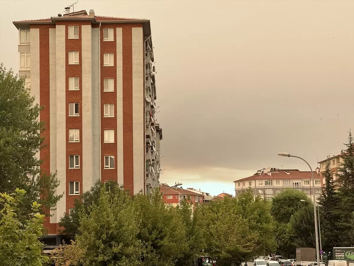 Sakarya'daki Orman Yangını, Eskişehir'i Etkiledi