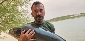 Bilecik'te 28 Kilogramlık Sazan Avı Yapıldı