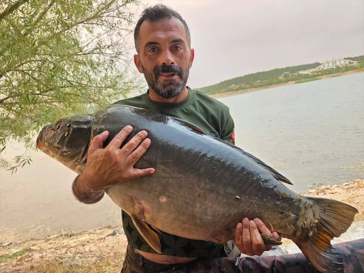 Bilecik'te 28 Kilogramlık Sazan Avı Yapıldı