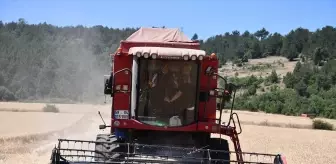 Bilecik Valisi Sözer, Buğday Hasadı Yaparak Çiftçileri Bilinçlendirdi