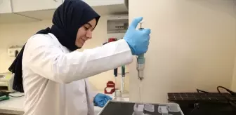 Alzheimer Hastalığının Erken Teşhisi İçin Önemli Gelişme