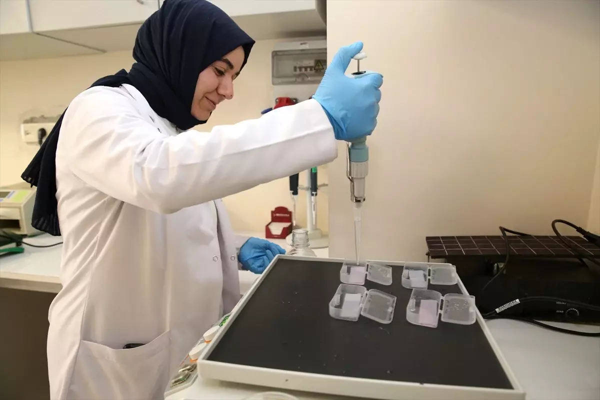 Alzheimer Hastalığının Erken Teşhisi İçin Önemli Gelişme