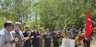 Bingöl'de 15 Temmuz dolayısıyla kurumlara Türk bayrakları asıldı, şehitlikler ziyaret edildi