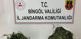 Bingöl'de Uyuşturucu Operasyonu: 17 Kilo Esrar Ele Geçirildi
