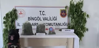 Bingöl'de Uyuşturucu Operasyonu: 9 Kilo Esrar ve 279 Kök Hint Keneviri Ele Geçirildi