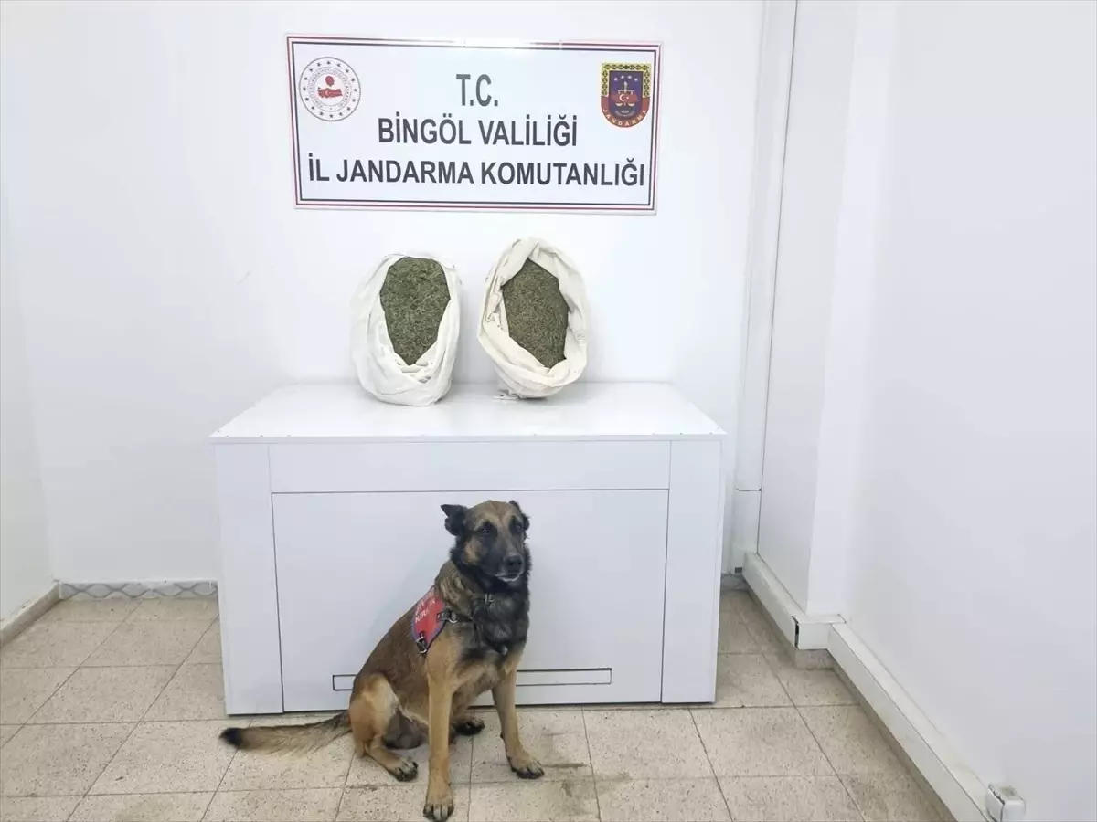 Bingöl'de 9 Kilo 892 Gram Esrar Ele Geçirildi