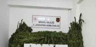 Bingöl'de Uyuşturucu Operasyonu: 91 Kilo 250 Gram Kubar Esrar Ele Geçirildi