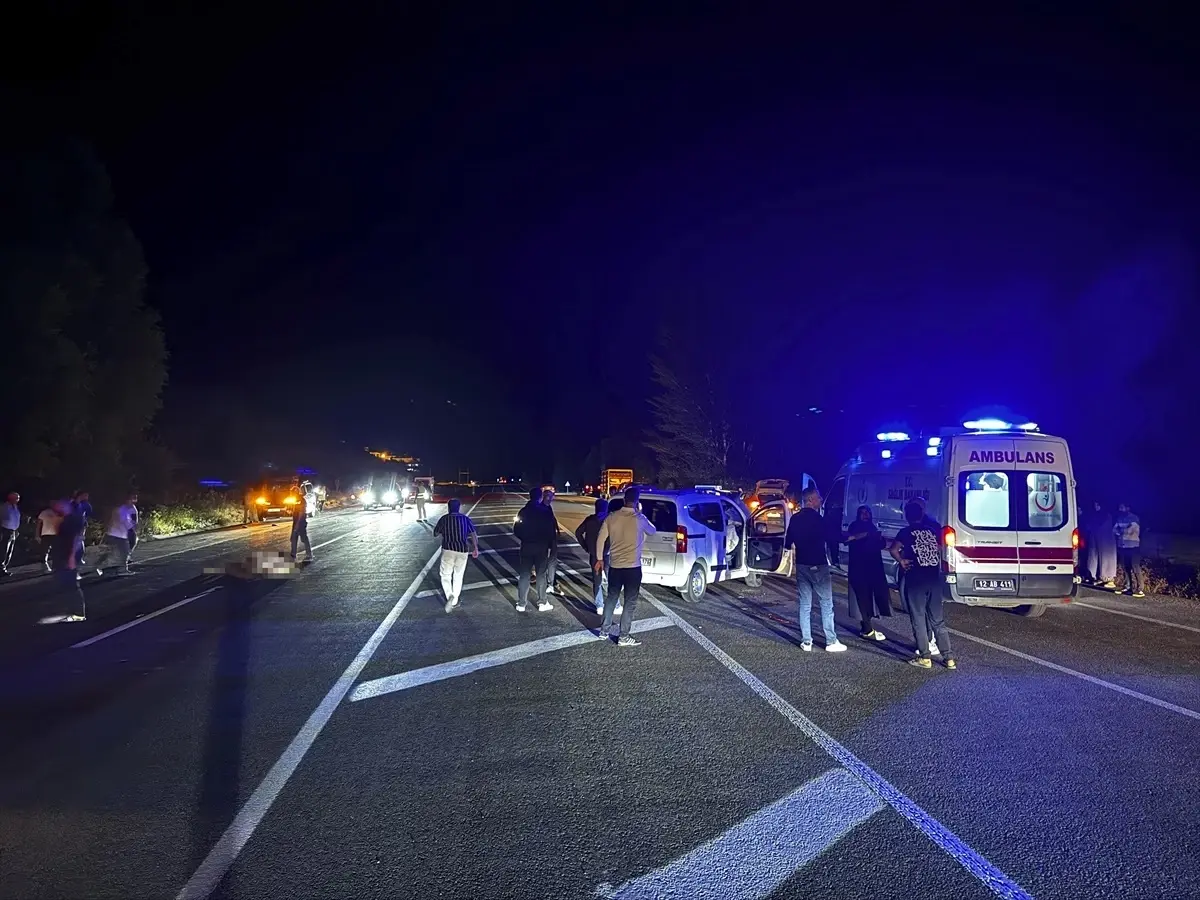 Bingöl'de Ata Çarpan Araçta 1 Kişi Hayatını Kaybetti