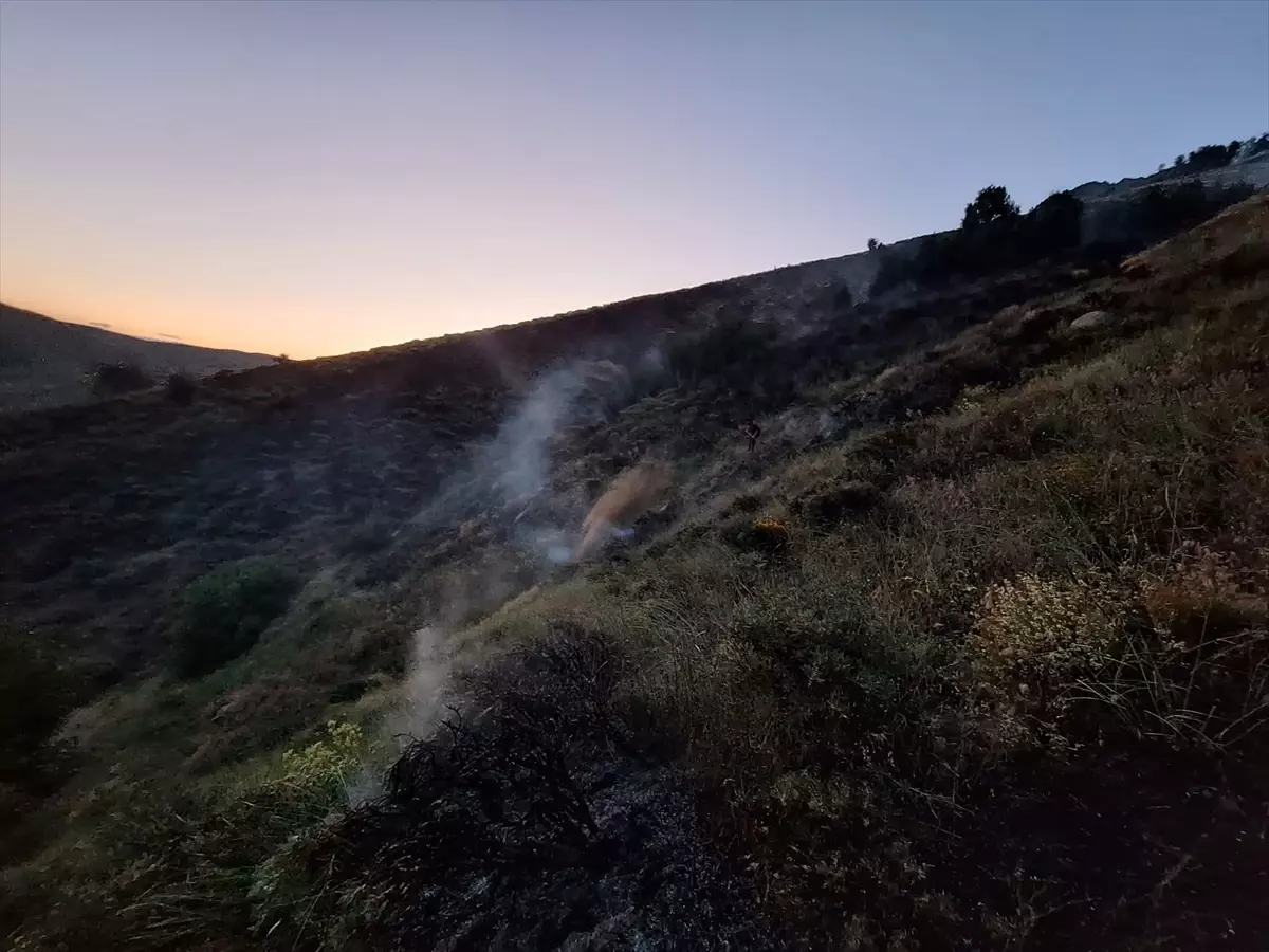 Bingöl'ün Genç İlçesinde Orman Yangını Kontrol Altına Alındı