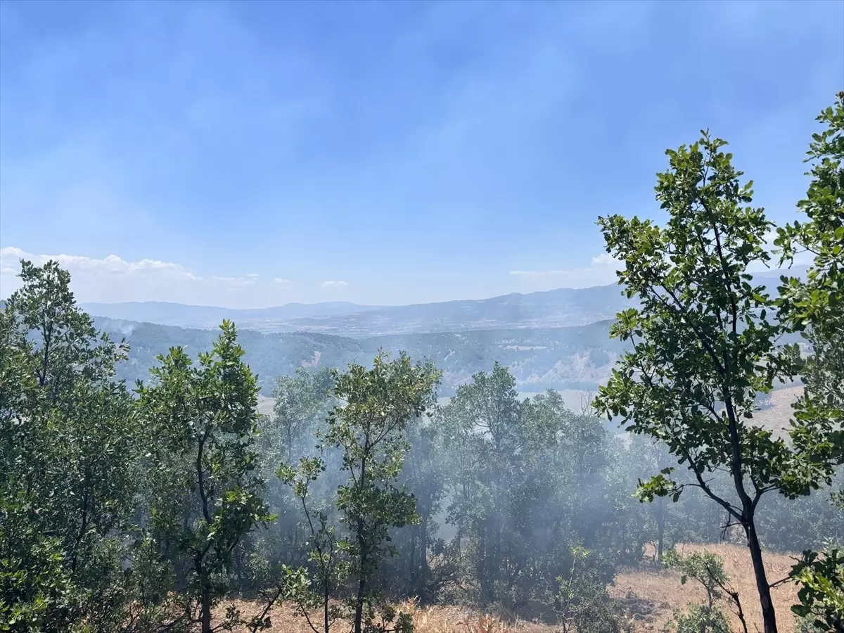 Bingöl'de Orman Yangını Söndürüldü