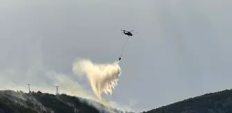 Bingöl'de Orman Yangınlarına Havadan ve Karadan Müdahale
