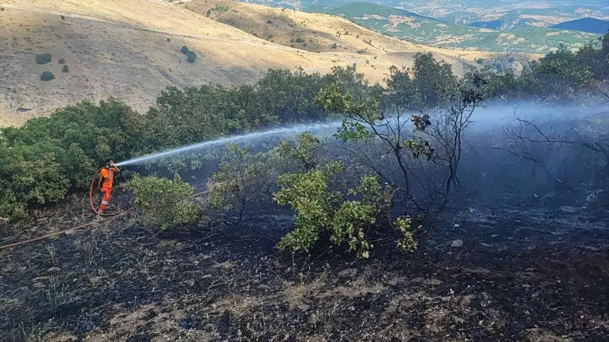 Bingöl Kiğı'da Meşelik Alandaki Yangın Söndürüldü
