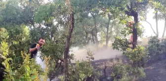 Bingöl'de Orman Yangını Söndürüldü