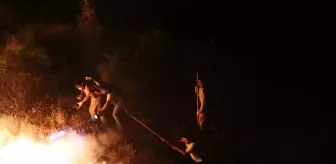 Bingöl'de Orman Yangını Söndürüldü